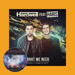 Hardwell / Hasan Shomar-What we Need vs Alive (BRET-Mashup)（BRET / Krewella / Hardwell / Haris remix）