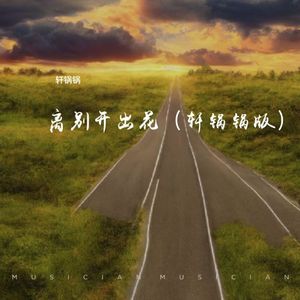 离别开出花（轩锅锅版）