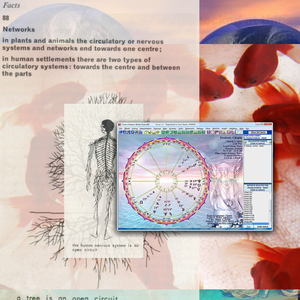 wave 4 (2021-12-21 12:27pm)