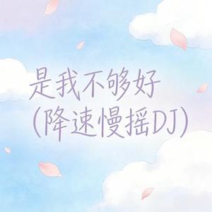 是我不够好(降速慢摇DJ)