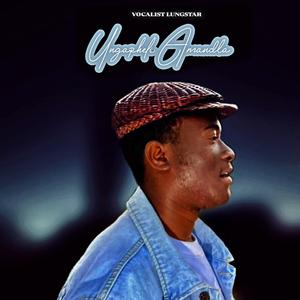Ungapheli Amandla (feat. Melikhaya & Midi_Keys)