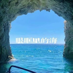 眼眶里的海
