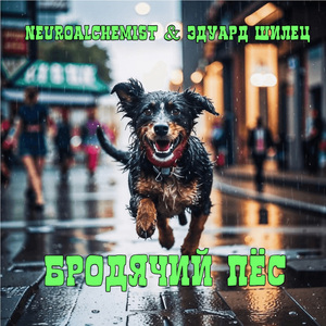Я бродячий пёс