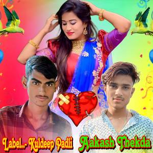 नागमणी को चुडो चमके छोरी थारा हाथ म र_बहुत_ही_रोम (Original)
