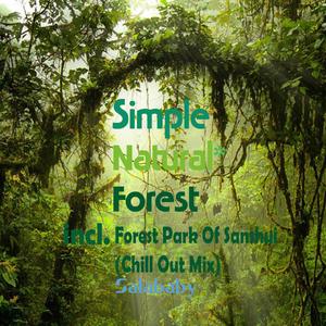 Forest Park Of Sanshui(Chill Out Mix)
