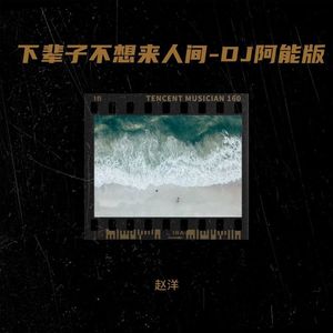 下辈子不想来人间-DJ阿能版