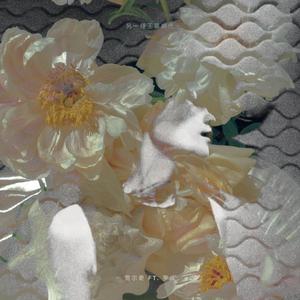 另一种王菲时代