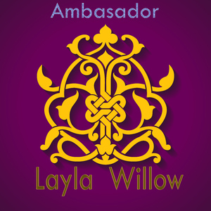Ambasador
