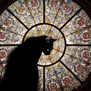 欲望饭店PROD BY CRAZY BEATZ