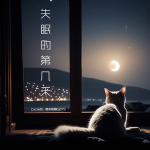 失眠的第几天