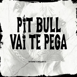 Pit Bull Vai Te Pega