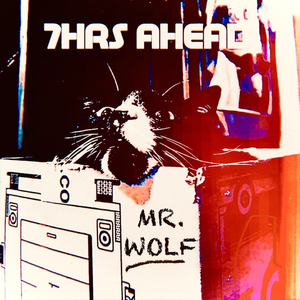 Mr. Wolf
