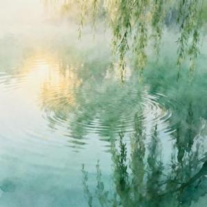 游西湖