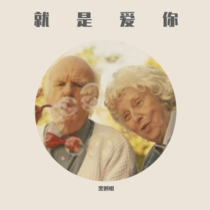 就是爱你（十孔口琴）