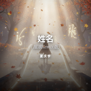 姓名(摇滚Remix版)