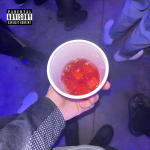 5L