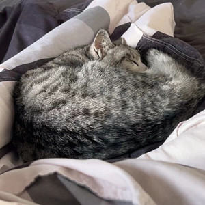 愈（prod by FRESH_ye）