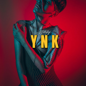 Ynk