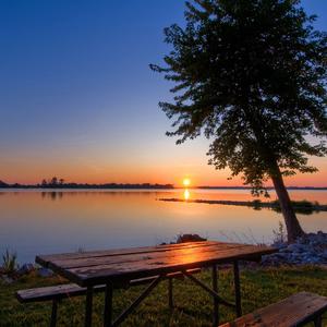 空心之城 (烟嗓)