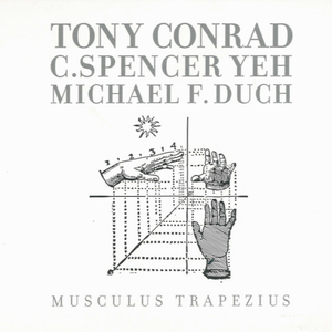 Musculus Trapezius