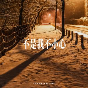 不是我不小心 No Mere Oversight