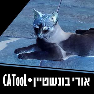 חולה