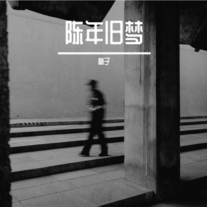 你是年少的欢喜（降速）