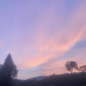 鸟语花香（治愈纯音乐）