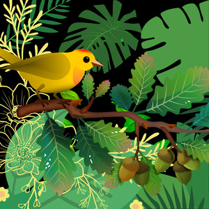 Burung Kolibri Merak