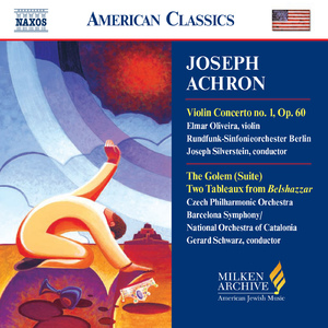 Violin Concerto No. 1, Op. 60:I. Allegro Moderato