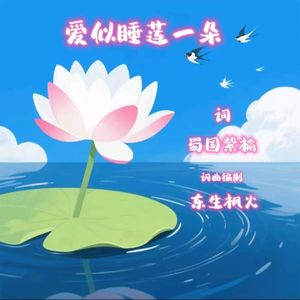 爱似睡莲一朵