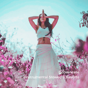 Convencete (Instrumental Slowed)