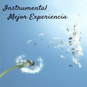 Se Incrementa La Capacidad De Concentración