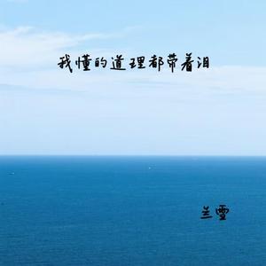 我懂的道理都带着泪