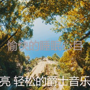 抚慰的睡眠回忆