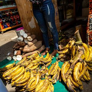 Plantain
