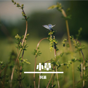 小草