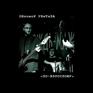 Обломок унитаза