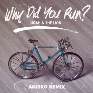 Why Did You Run (Anisko Remix)