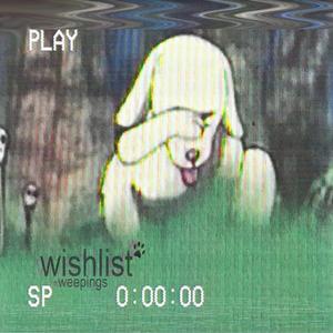 wishlist (feat. Weepings)