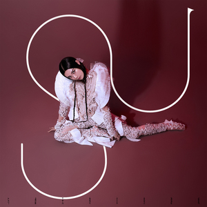 普通与可能的事物