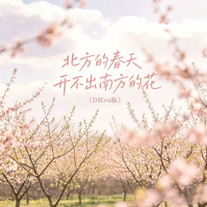 北方的春天开不出南方的花(DJEva版)