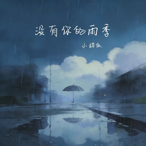 没有你的雨季