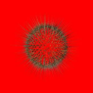 Slow It Down Instrumental