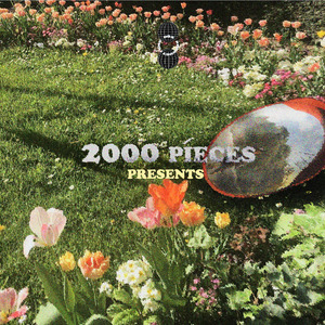 paraphernalia（随身品）