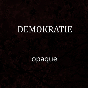 Opaque (Radio Edit)