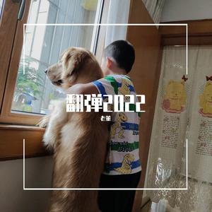 星际争霸II - 人族主题曲之五