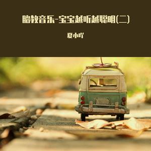 母亲教我的歌 (胎教音乐)