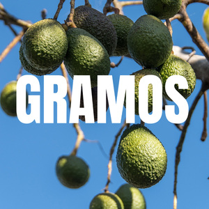 GRAMOS