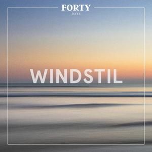 Windstil (feat. Laura)